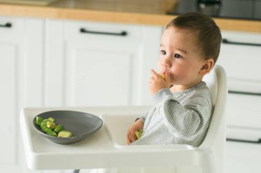 Mutlu bebek yüksek sandalyede oturup mutfakta havuç yiyor. Çocuklar için sağlıklı beslenme. Bebekler için ilk katı yiyecek olarak biyohavuç. Çocuklar sebze yer. Küçük çocuk çiğ sebze yiyor.