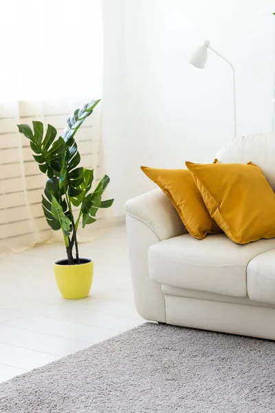 客厅内饰有沙发 枕头和绿色人造植物 — 图库照片