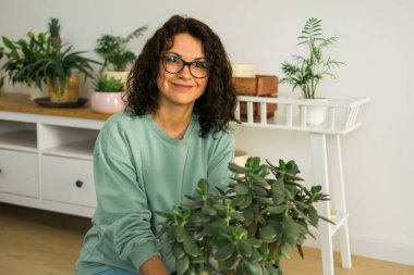 Woman grows potted plants at home watering and take care flowers - gardening and houseplant care