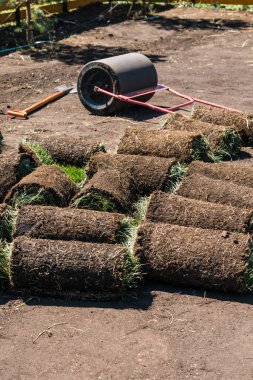 Rolls of lawn grass on a sunny day - country house and landscape design