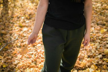 Kadın, sonbahar mevsiminde elinde sarı meşe yaprağını tutuyor. Sonbahar ve doğa.