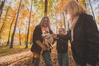 Anne, büyükanne ve kızı Jack Russell Terrier 'ı tutuyor ve sonbaharda onunla dışarıda oynuyor. Hayvan ve aile kavramı.