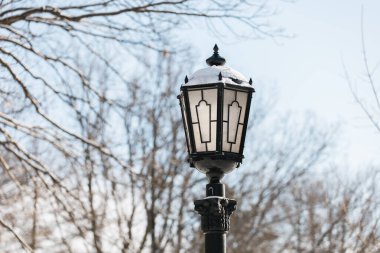 Arka planda kış sezonunda sokak lambası soğuk güneşli bir gökyüzü ve ağaçlar. Metin ve reklam kavramı için boşluk ve boşluğu kopyala