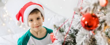 Evdeki Noel ağacının yanında gülümseyen ve gülen neşeli çocuğun portresi. Aileler ve çocuklar, kış tatilini kutlayan alfa nesli..