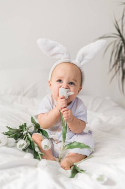 Tavşan kulaklı, evde beyaz bir yatak üzerinde laleleri olan sevimli, komik bir bebek. Paskalya tebrik kartı.