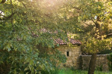 Eski şehir. Karadağ 'ın Bar kentindeki Stari Bar kasabasındaki harabelerin güneşli manzarası.