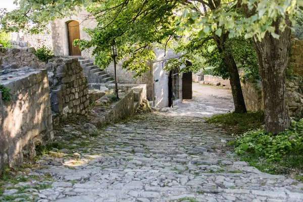 Karadağ 'daki Old Town Bar' da. Eski kaldırımlı cadde. Seyahat ve tatiller.