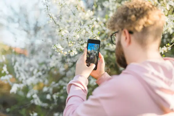 Férfi Kezében Mobiltelefon Fotó Virágzó Tavaszi Cseresznye Alma Fák Napfényben — Stock Fotó