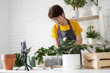 Female blogger sits in front of smartphone camera on tripod records instructional tutorial video for her blog shoots process of replanting flowers and green plants