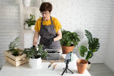 Evde bahçeyle uğraşıyorum. Siyah eldivenli gülümseyen orta yaşlı kadın saksı bitkisi kayıtları ile modern evde video blogu hazırlıyor - blog yazarlığı ve çiçekçi vlog etkileyicisi.