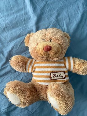 Yumuşak ve sevimli oyuncak ayı açık mavi bir kumaş yüzeyde uzanır, sıcaklık ve konfor yayar. Zamansız tasarım çocukluk nostaljisini ve sükuneti çağrıştırıyor..