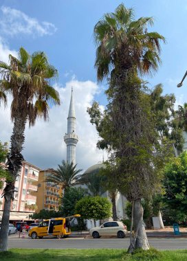 Çarpıcı bir karışım olan palmiye ağaçları ve bir cami kulesi ile şehir hayatının arka planı ve sakin gökyüzü. Kentsel bir ortamda kültürel mimari.