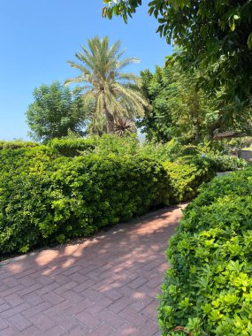 Yeşil park sahnesinde açık mavi gökyüzünün altında canlı yeşillikler ve çiçekler var. Davetiyeleri ayarlamak, doğada rahatlama ve yansıma sağlar..