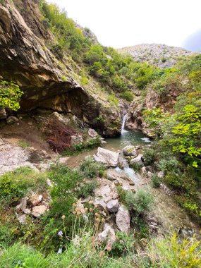 Serene şelalesi, yemyeşil ve canlı yeşilliklerle çevrili kayalık bir kanyonda çağlar. Huzurlu sahne, derin düşüncelere dalmayı ve dokunulmamış güzelliğe kaçmayı davet eder..