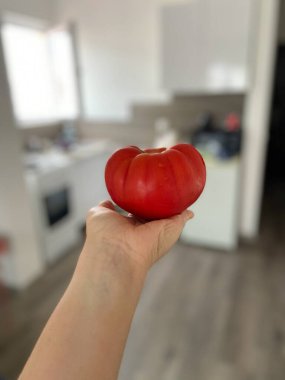 Büyük olgun domates, canlı kırmızı rengini ve doğal güzelliğini gösteren bir avuç içinde tutulur. Bulanık mutfak arka planı, domatesin tazeliği ve boyutuna odaklanmayı vurguluyor..