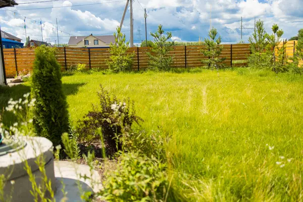 Arka bahçesinde çam ağaçları ve ahşap çitlerin yanında çalılar var. Açık hava yeşilliği ve banliyö ortamında ev dekorasyonu.