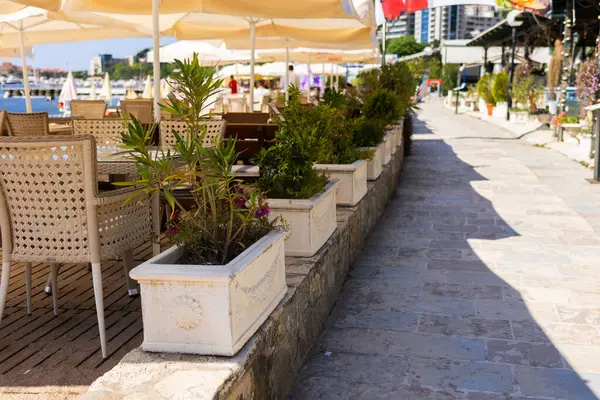 Saksı bitkileri ve taş yolu olan bir açık kafe terası. Yaz misafirperverliği, kıyı tasarımı ve rahat yemek atmosferi.