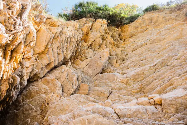 Pürüzlü doğal çizgileri ve yıpranmış yüzeyi olan güneşli kaya duvarı. Jeolojik doku, çökelti katmanları ve kıyı arazisindeki aşınma