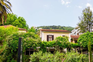 Akdeniz evi yemyeşil ve yamaçtan manzarayla çevrili. Doğa, gayrimenkul ve huzurlu bir banliyö hayatı.