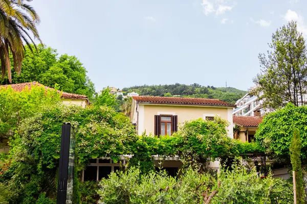 Akdeniz evi yemyeşil ve yamaçtan manzarayla çevrili. Doğa, gayrimenkul ve huzurlu bir banliyö hayatı.