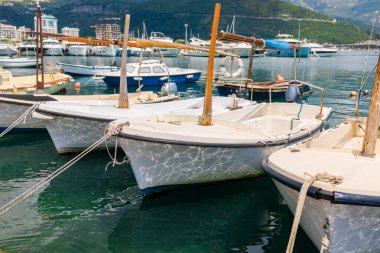 Küçük motorlu botlar sakin marina suyuna yanaştı. Deniz kenarı yaşam tarzı, sahil ulaşımı ve deniz yaz atmosferi.