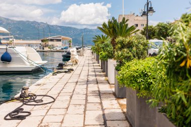 Tropikal bitkiler ve demirli teknelerle deniz kenarında gezinti. Yaz seyahati, deniz kıyısında dinlenme ve kıyı kasabasında manzaralı marina yaşam tarzı.