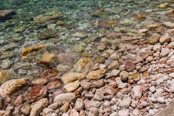 Suya batmış yosunlar ve renkli kayalarla temiz kıyı suları. Deniz dokuları, biyolojik çeşitlilik ve doğal kıyı ekosistemi.