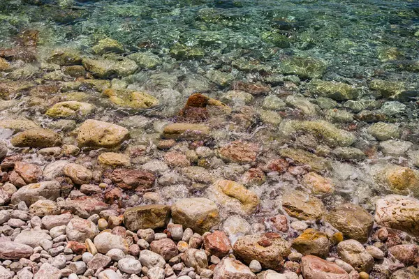 Suya batmış yosunlar ve renkli kayalarla temiz kıyı suları. Deniz dokuları, biyolojik çeşitlilik ve doğal kıyı ekosistemi.