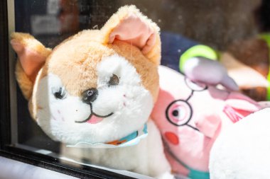 Doldurulmuş köpek ve domuz cam arkasında peluş oyuncaklar. Çocukluk nostaljisi, oyuncakçı cazibesi.