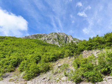 Açık mavi gökyüzünün altında yeşil ormanlarla kaplı Rocky dağı zirvesi. Balkan manzarasının doğal yüksekliği, yaz bitkileri ve manzaralı doğası