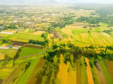 Gün doğumunda tarımsal tarlaların ve kırsal yolun havadan görünüşü. Tarım arazisi organizasyonu, mevsimlik tarım ve yaz sabahı aydınlığında kırsal yaşam.