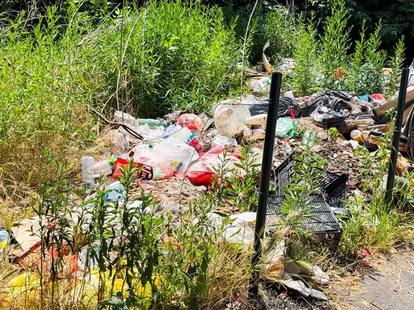 Yeşil çimenlerin arasında çöp ve plastik atık yığını. Kentsel çevrede kirlilik, çevresel hasar ve ekolojik sorunlar