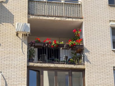 Saksı çiçekleri ve bitkilerle dolu balkon tuğla bir cephede metal bir korkuluk boyunca dizilmiş. Kentsel yaşam, dış mekan dekorasyonu ve apartman yaşam tarzı mimariyi, yeşilliği ve mevsimsel büyümeyi yansıtıyor