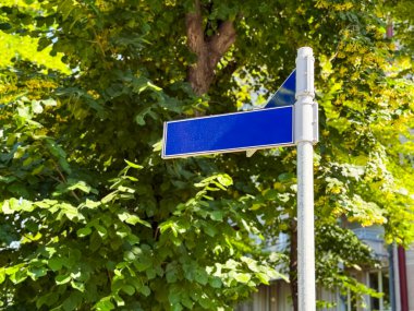 Açık havada yeşil ağaçlara karşı metal bir direğe asılmış boş mavi sokak tabelası. Navigasyon, oryantasyon ve kentsel altyapı iletişimi, düzeni ve şehir düzenlemelerini yansıtıyor