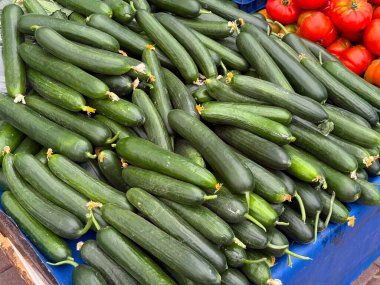 Taze salatalıklar açık hava pazarında büyük bir yığın halinde sergileniyor. Tarım, tarım ve mevsimsel sebze hasadı ile beslenme ve sağlıklı gıda