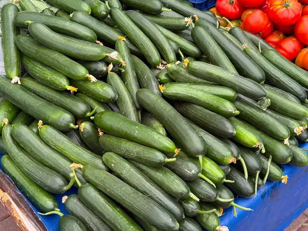 Taze salatalıklar açık hava pazarında büyük bir yığın halinde sergileniyor. Tarım, tarım ve mevsimsel sebze hasadı ile beslenme ve sağlıklı gıda