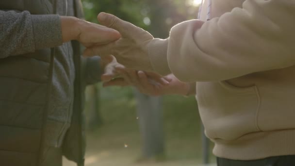Romantische Senior Händchen Haltend Verliebt Zusammen Stehend Draußen Ältere Familie — Stockvideo