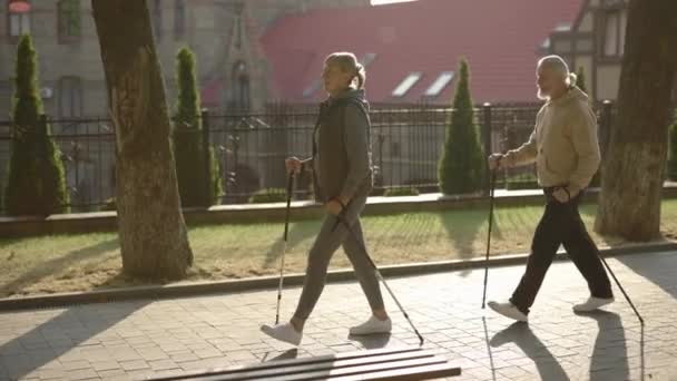 上了年纪的夫妇 带着手杖在街上走着 在室外散步 练习丑闻 老老实实的看着你老年人与体育概念 — 图库视频影像
