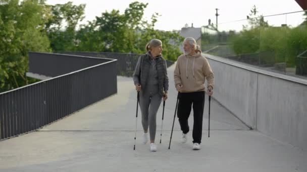 白种人的老夫妇在公园里散步 彼此交谈 老老实实的看着你积极的闲暇 老年人与体育概念 — 图库视频影像