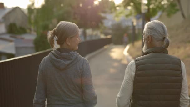 Yetişkin Iki Skandinavyalı Arkadaşın Sokakta Birlikte Yürüdüğüne Dair Bir Bakış — Stok video