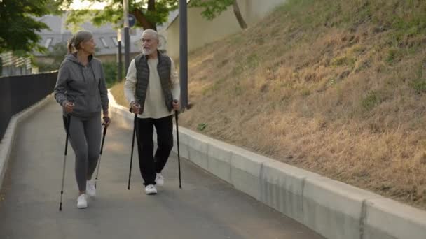 Oudere Stel Nordic Walking Park Ouderen Beklimmen Samen Een Berg — Stockvideo