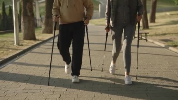 Dichtbij Zicht Bejaarden Die Nordic Walking Trainen Het Park Volwassen — Stockvideo