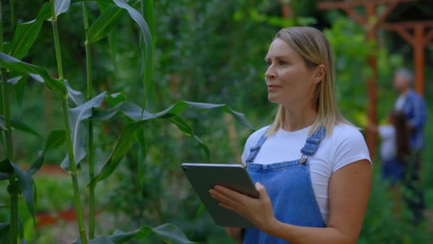 Female Farmer Controls Growth Plants Using Digital Tablet Woman Worker — Wideo stockowe