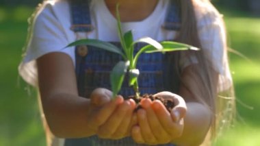 Eller yukarı ve Sapling 'i kameraya göster. Çocuk, Çocuk Ellerinde Toprakla Genç Bitkiyi Tutuyor. Kız Avuç İçleri Toprak Kökü 'nü Küçük Bir Ağaç Kucaklıyor. Eko ve Yeni Hayat Konsepti