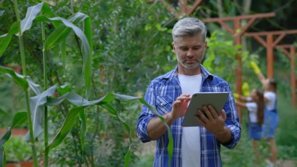 Αγρότης Ελέγχει Την Ανάπτυξη Των Φυτών Χρησιμοποιώντας Ένα Ψηφιακό Δισκίο — Αρχείο Βίντεο