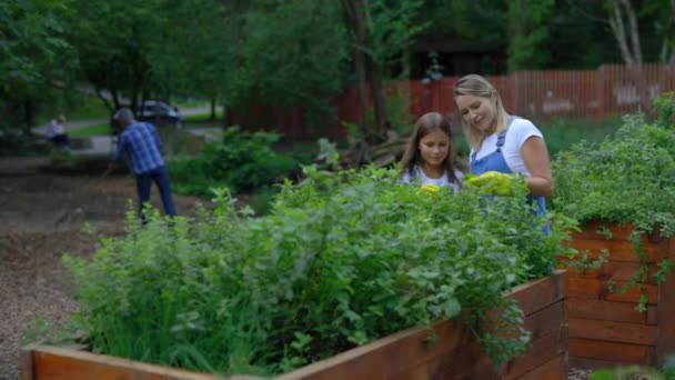 농부는 딸에게 자신의 농장에서 신분을 살피고 돌보는 방법을 가르치고 정원에서 — 비디오