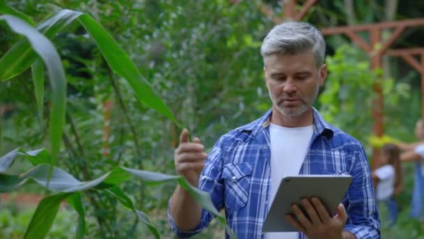 Agrónomo Controla Crecimiento Las Plantas Utilizando Tableta Hombre Trabajador Pie — Vídeo de stock