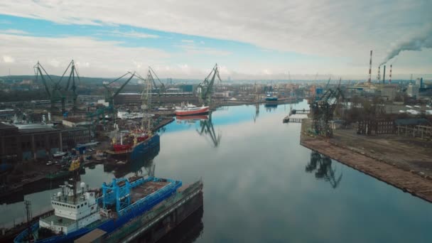 在波兰港口的格但斯克港 货船卸下贵重物品的无人机视图 格但斯克港的喧嚣与喧嚣的空中景观 — 图库视频影像