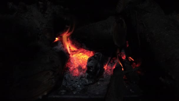 Elden Brinner Öppen Spis Nära Håll Bränd Ved Eldstaden Högkvalitativ — Stockvideo