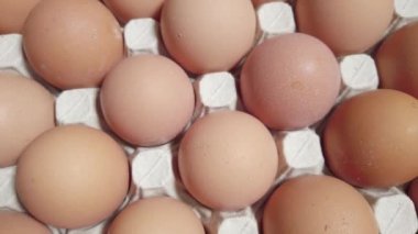 Konteynırdaki yumurtalar iş ve yemek konsepti için. Yüksek kalite 4k görüntü
